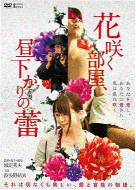 平凡之路电视剧海报